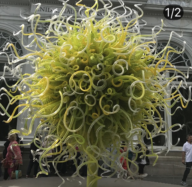 new york botanical gardens, chihuly