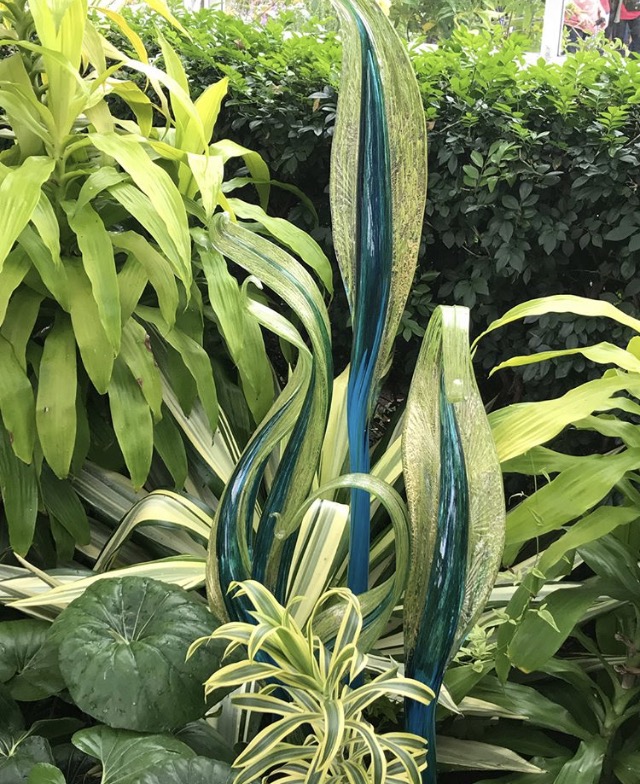 chihuly, new york botanical gardens, nybg